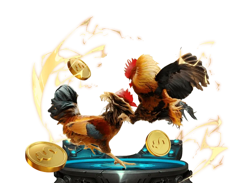 Các chiến lược cá cược bet vip